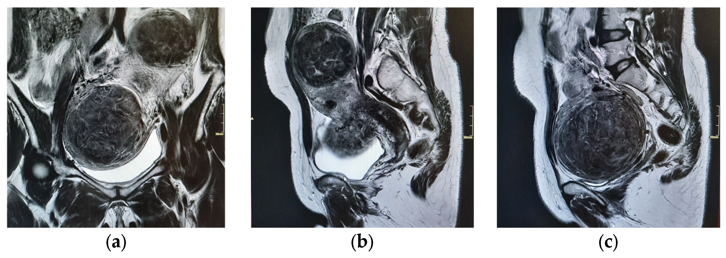 Reprodmed 06 00040 g002 Reprodmed 06 00040 g002