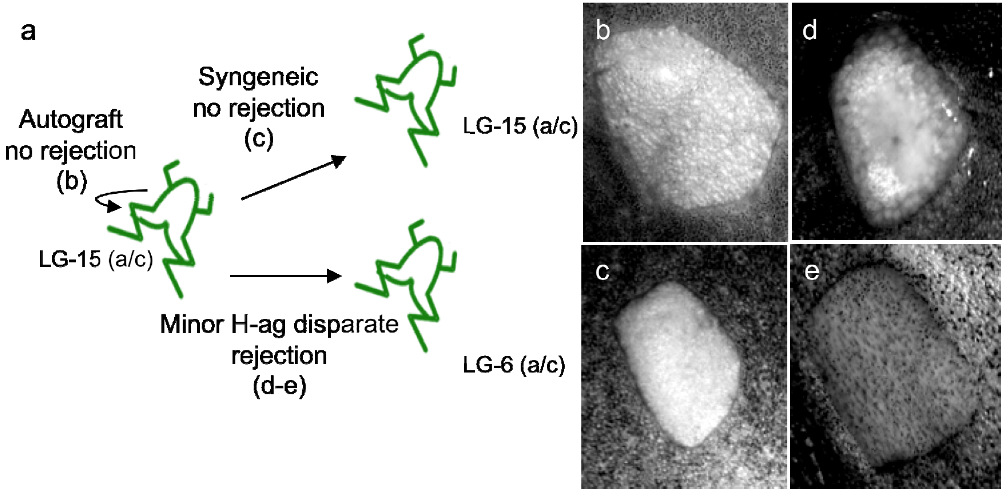 Resources 02 00167 g001