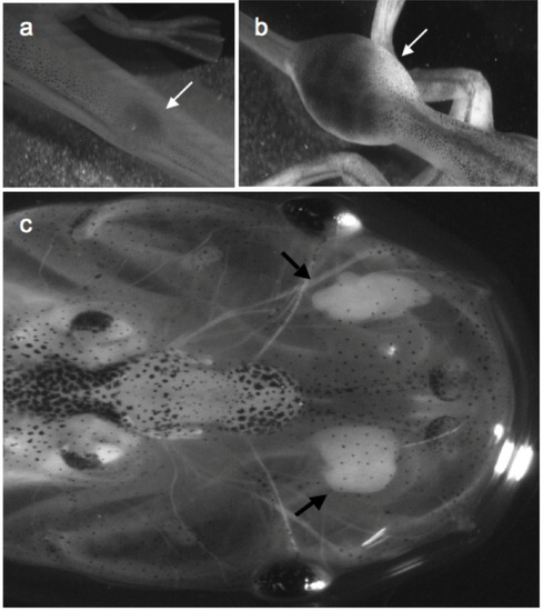 Resources 02 00167 g002 550