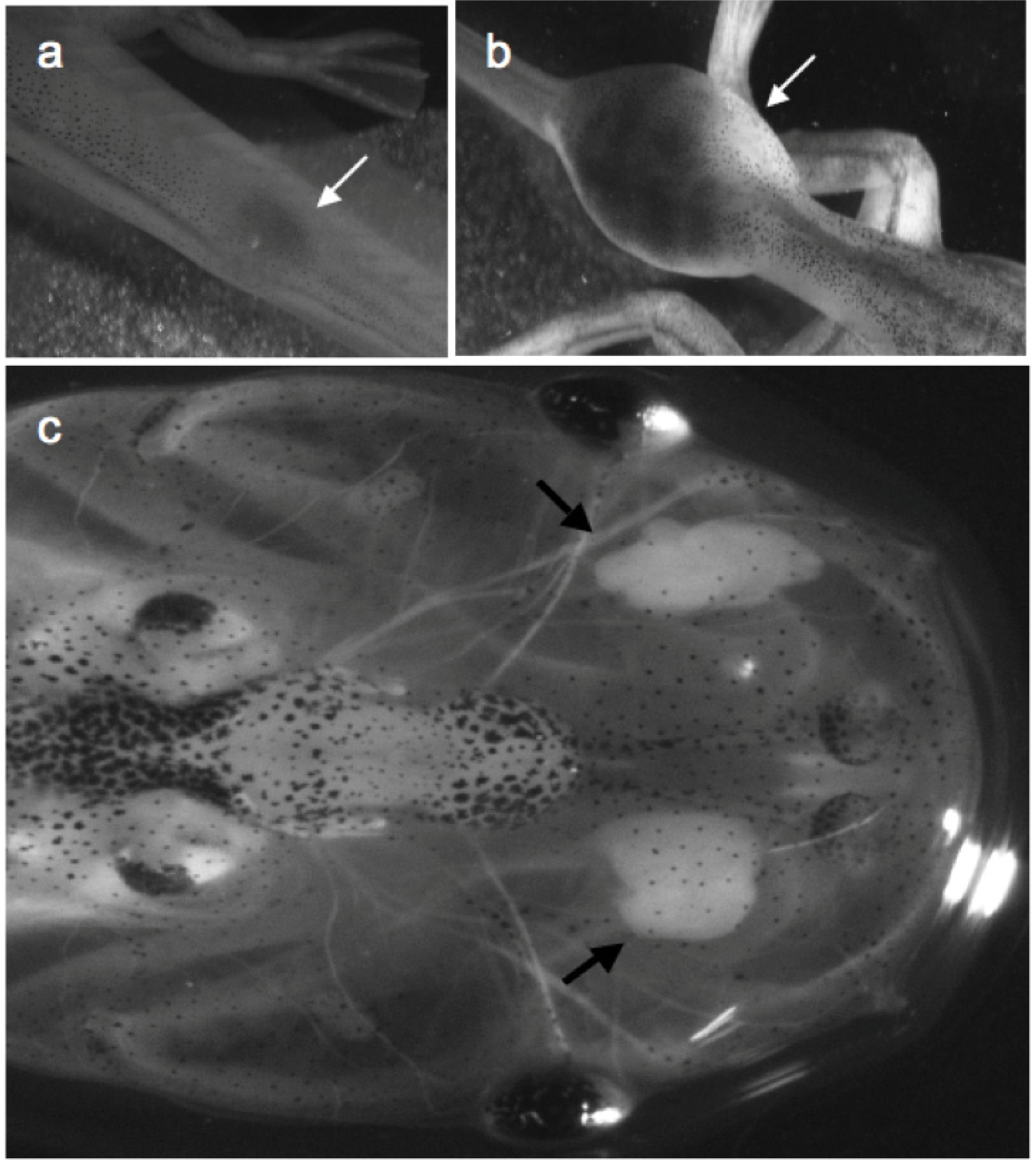 Resources 02 00167 g002