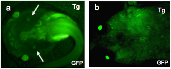 Resources 02 00167 g003 550