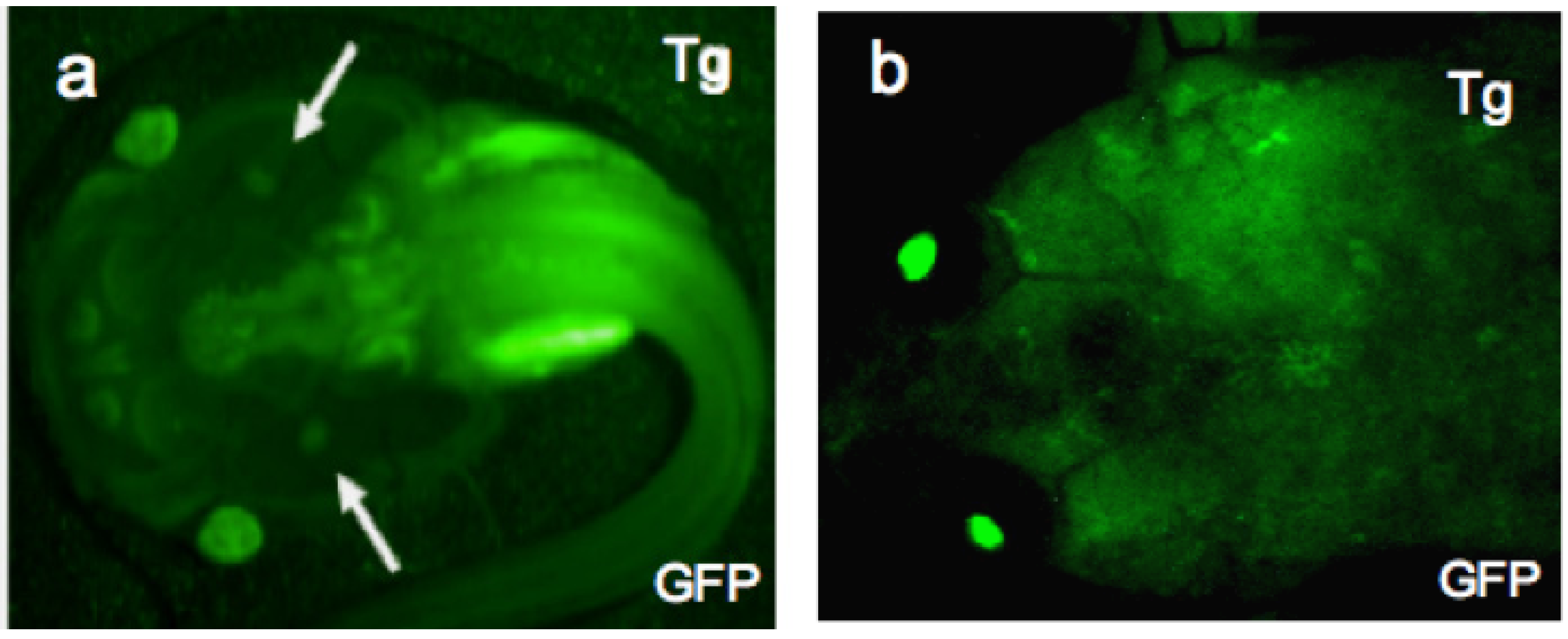 Resources 02 00167 g003