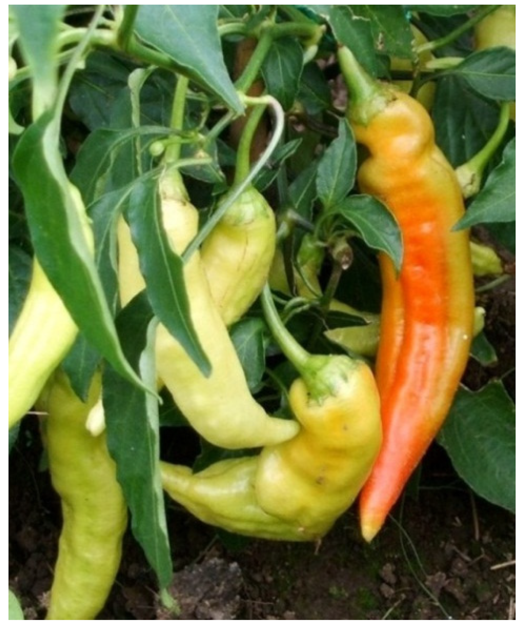 Resources 04 00277 g001 1024