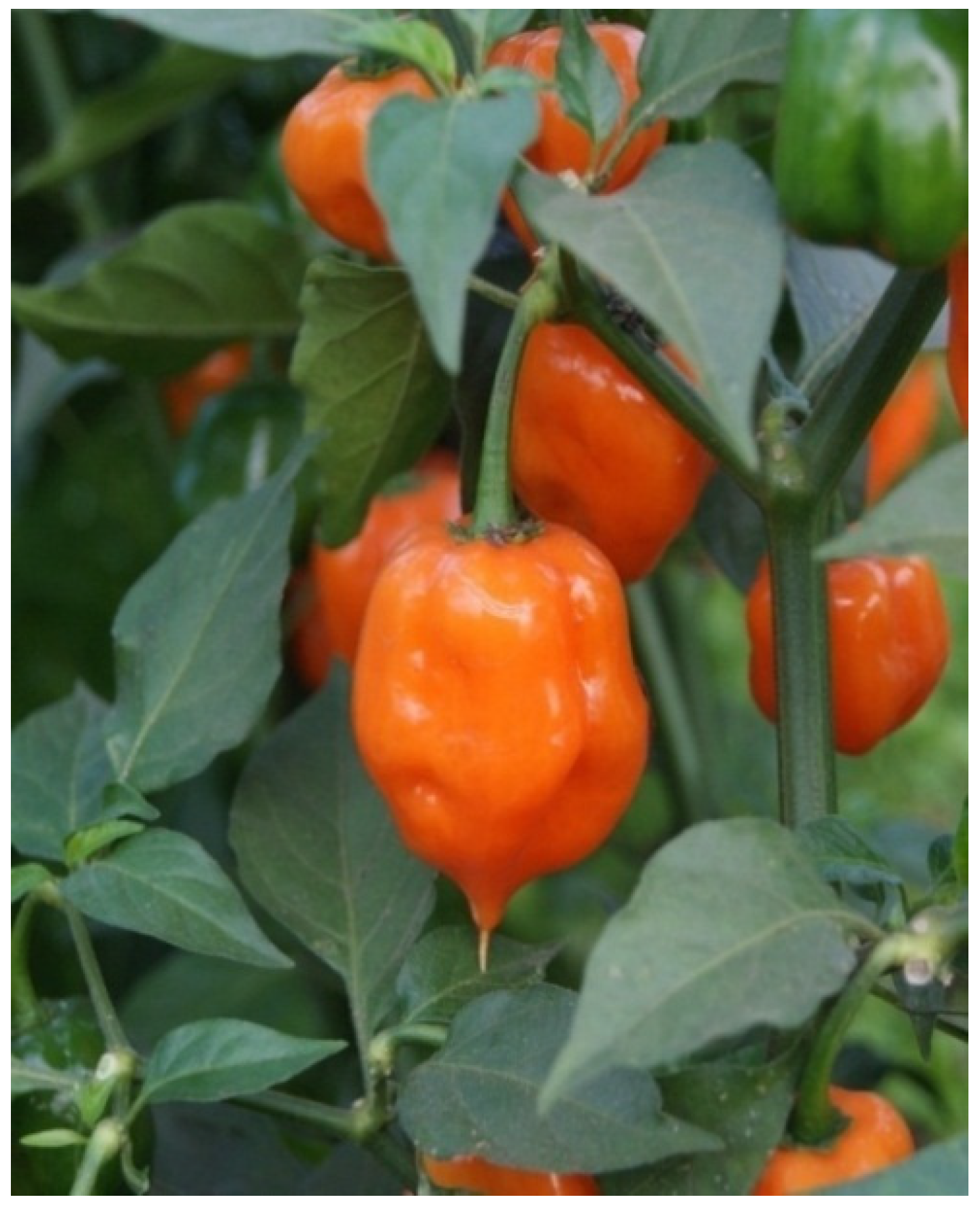 Resources 04 00277 g002