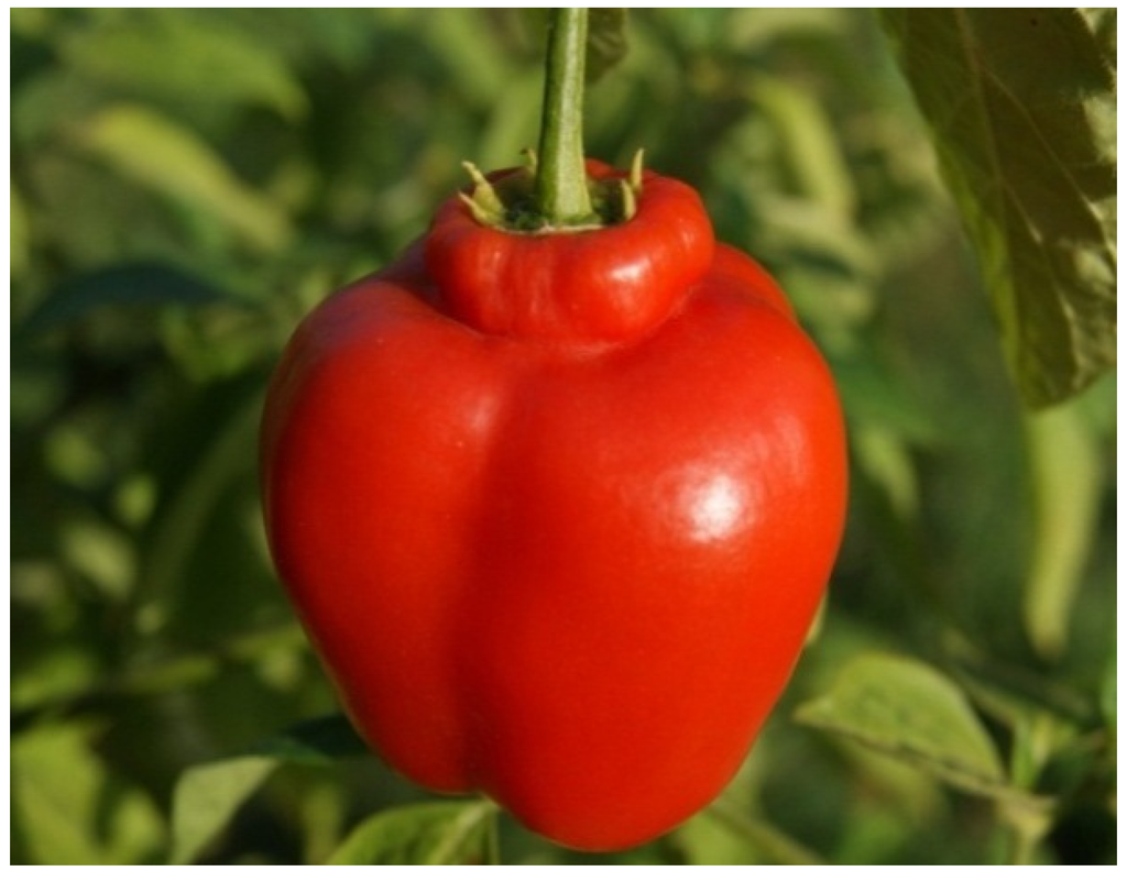 Resources 04 00277 g003 1024