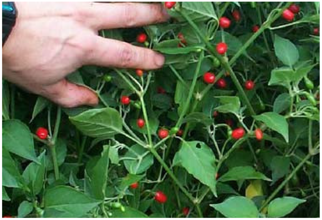 Resources 04 00277 g004 1024