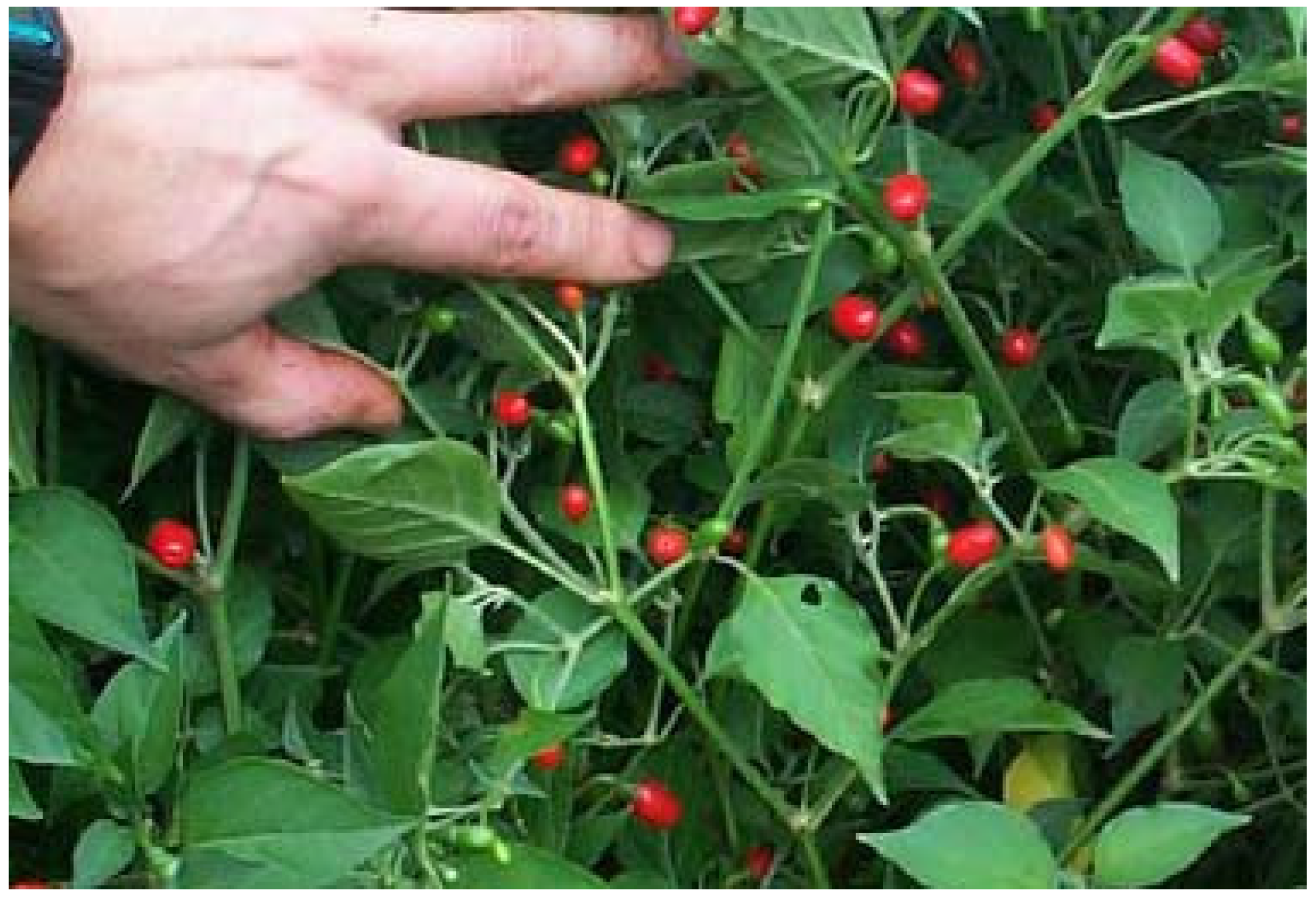 Resources 04 00277 g004