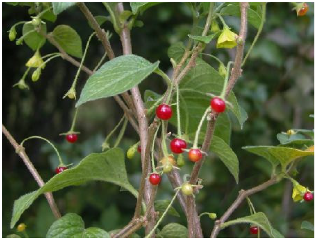 Resources 04 00277 g006 1024