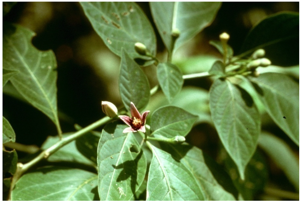 Resources 04 00277 g007 1024