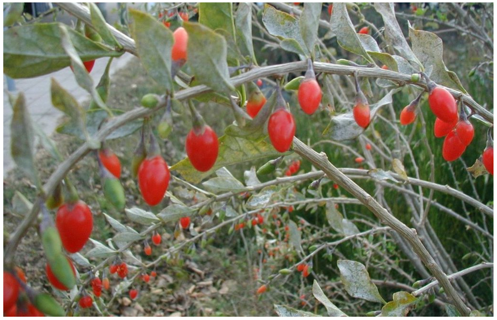 Resources 04 00277 g008 1024