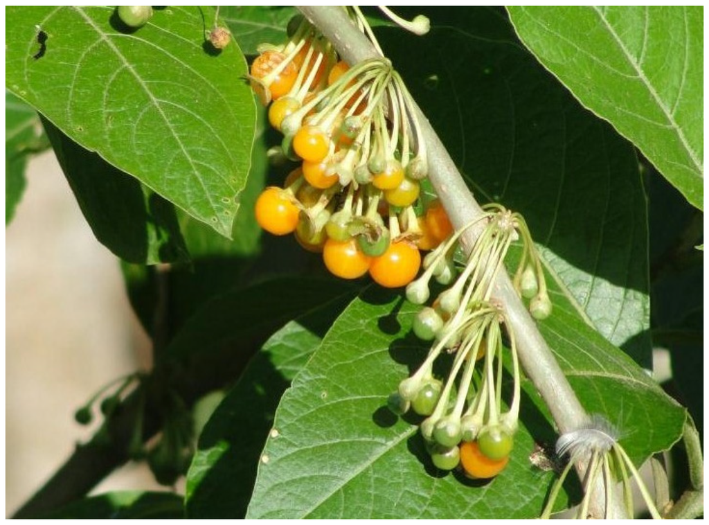 Resources 04 00277 g009 1024