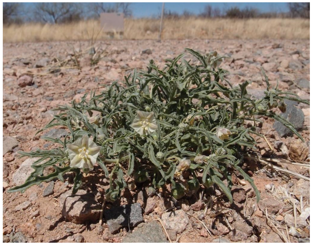 Resources 04 00277 g012 1024