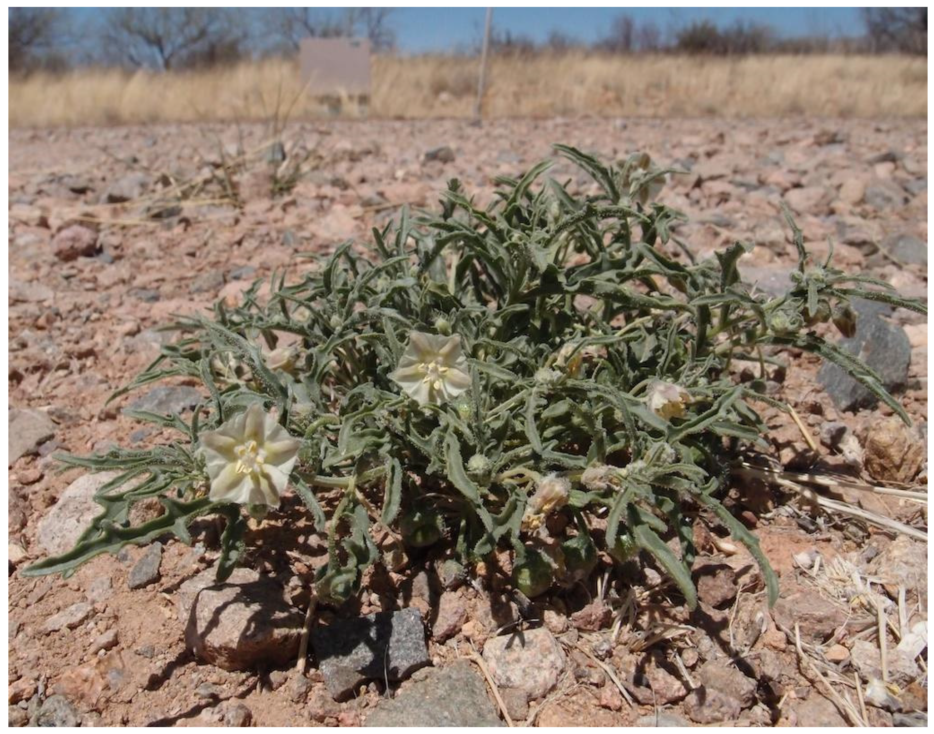 Resources 04 00277 g012