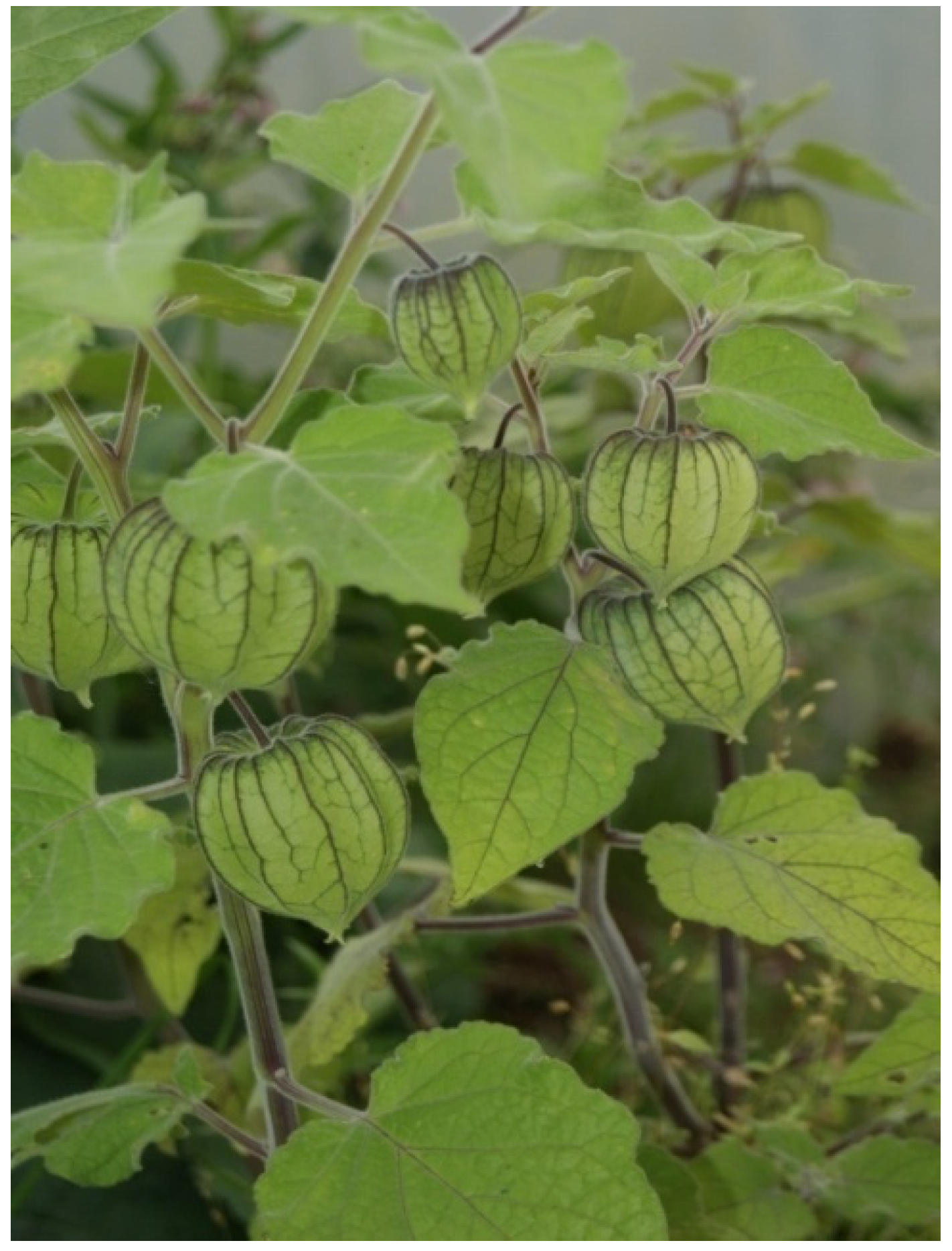 Resources 04 00277 g013