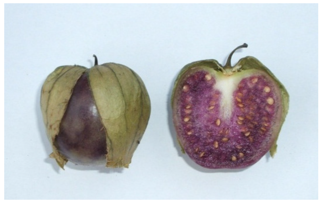 Resources 04 00277 g014 1024