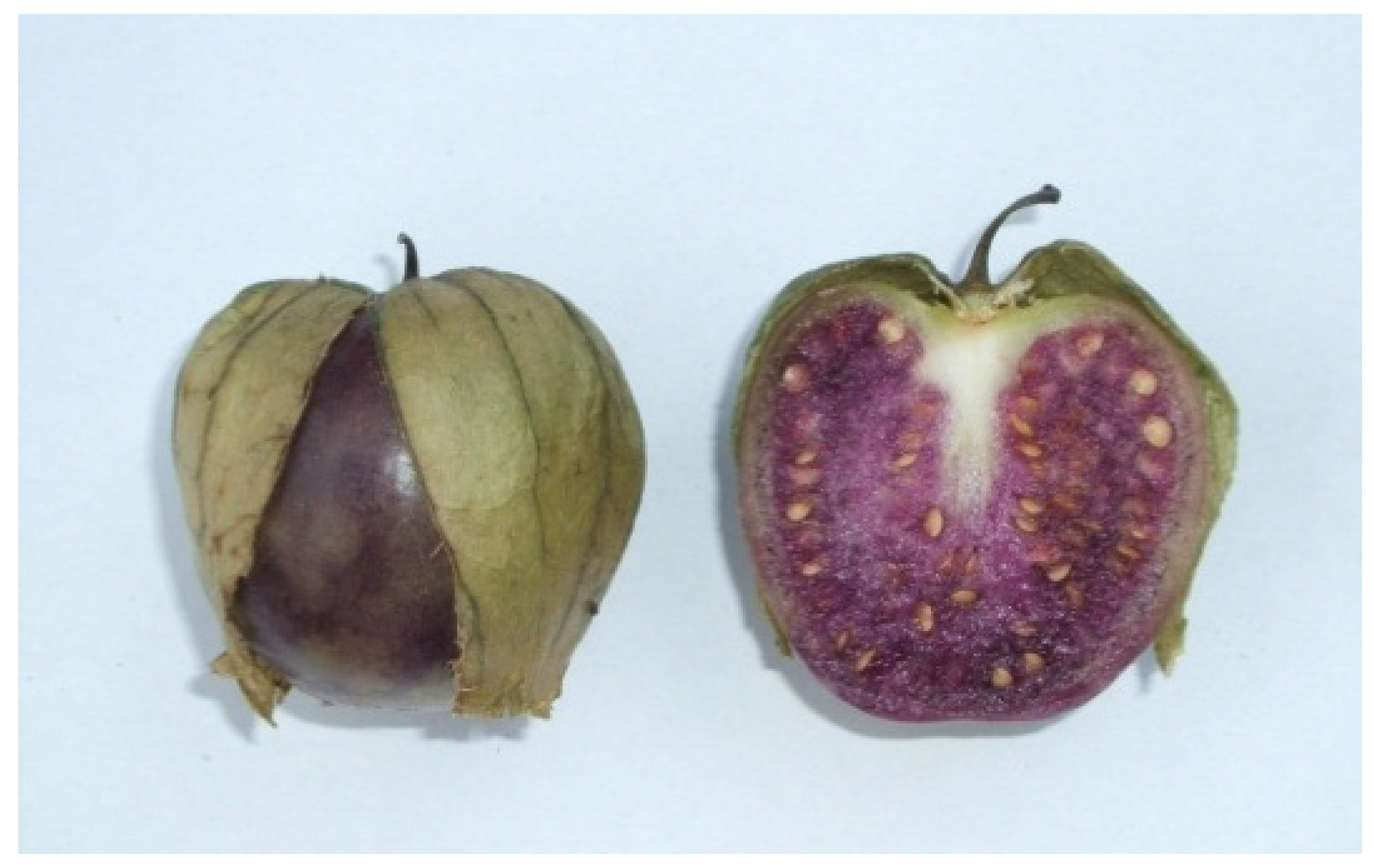 Resources 04 00277 g014