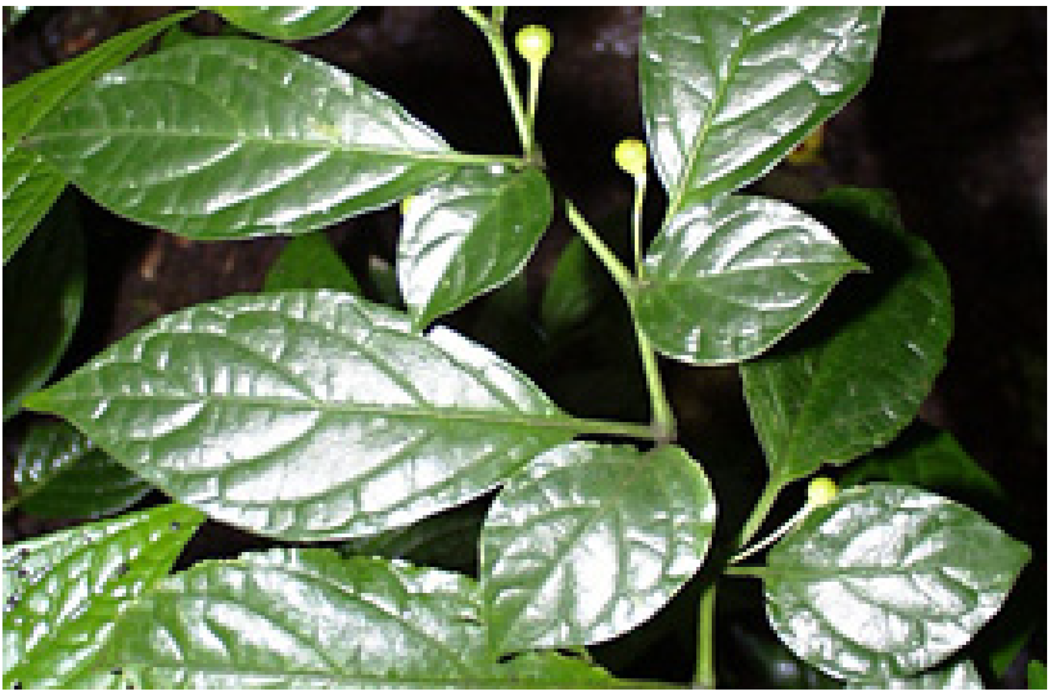 Resources 04 00277 g016