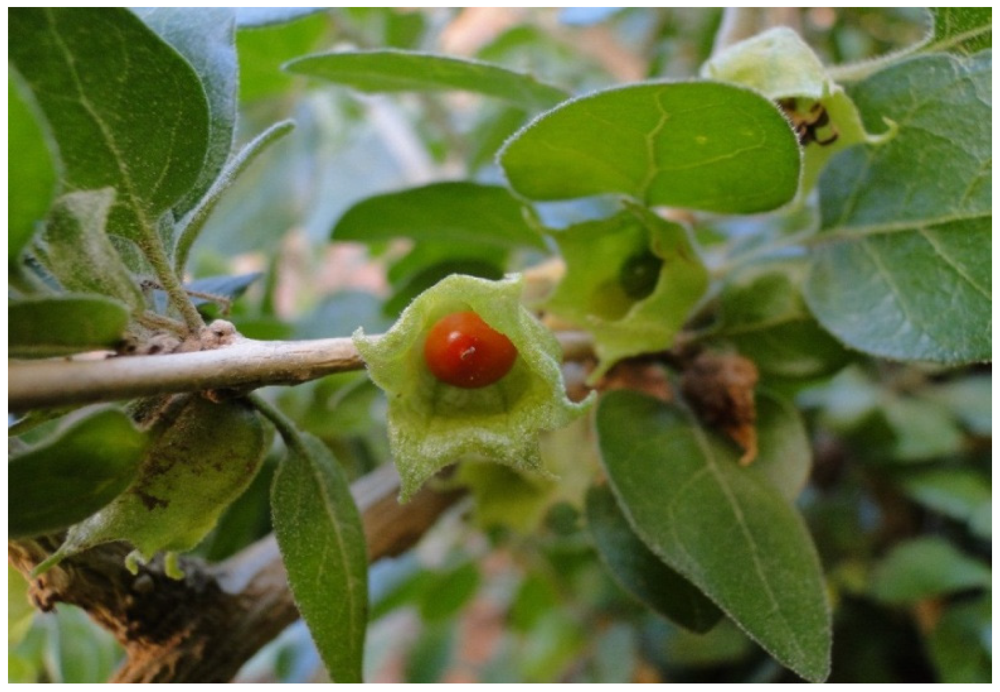 Resources 04 00277 g017