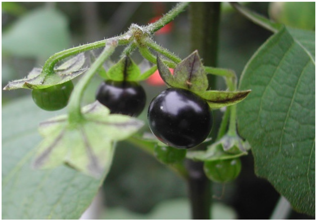 Resources 04 00277 g020 1024