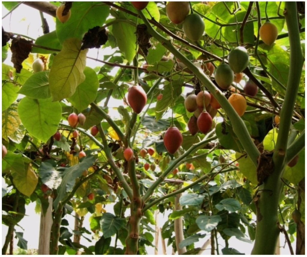 Resources 04 00277 g022 1024