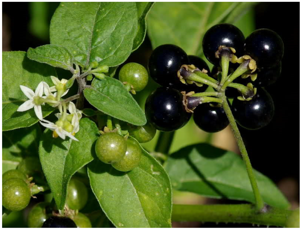 Resources 04 00277 g023 1024