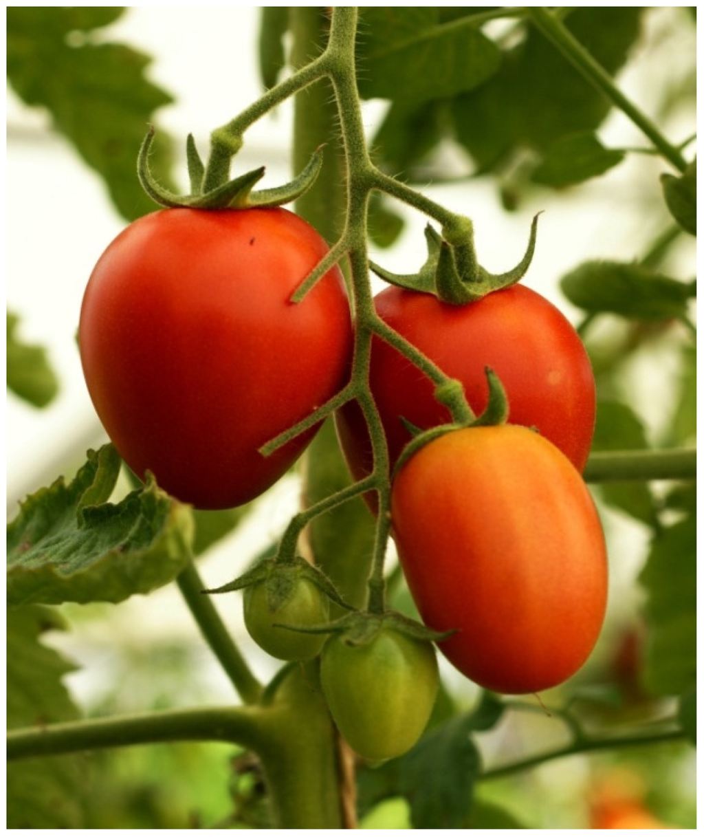 Resources 04 00277 g025 1024