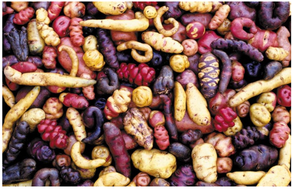 Resources 04 00277 g026 1024