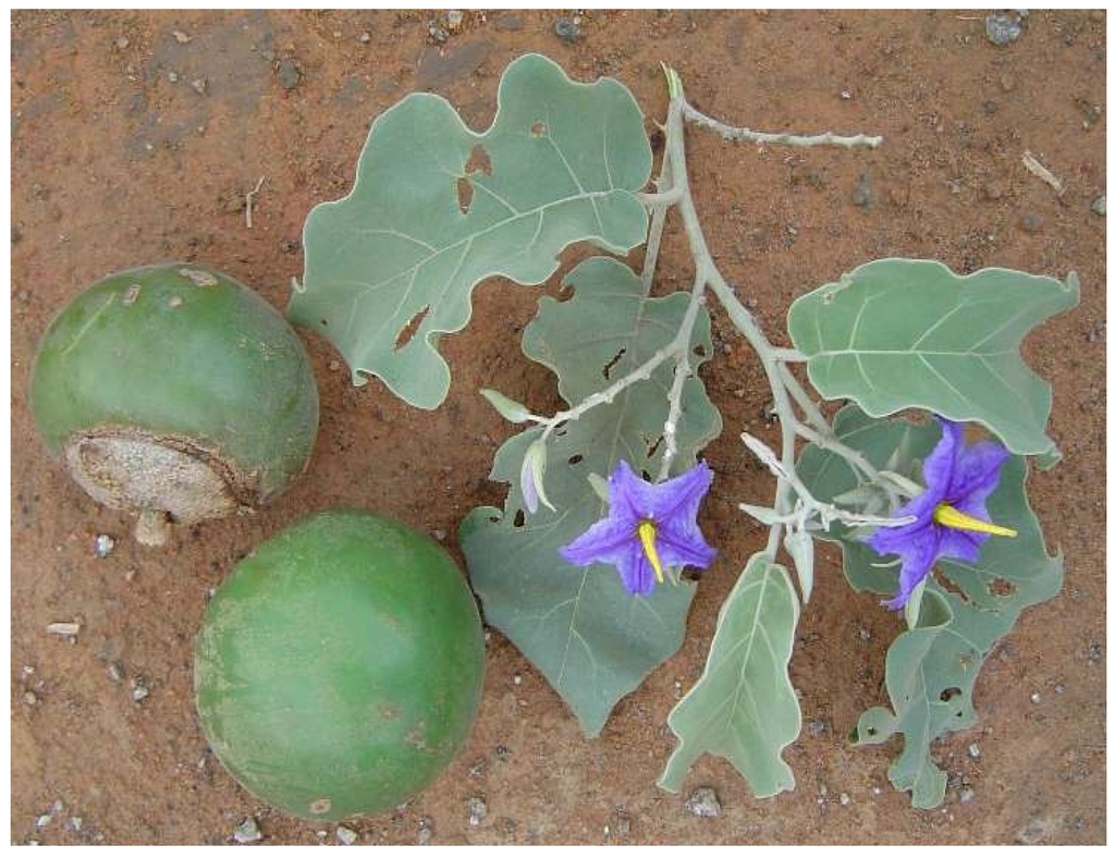 Resources 04 00277 g028 1024