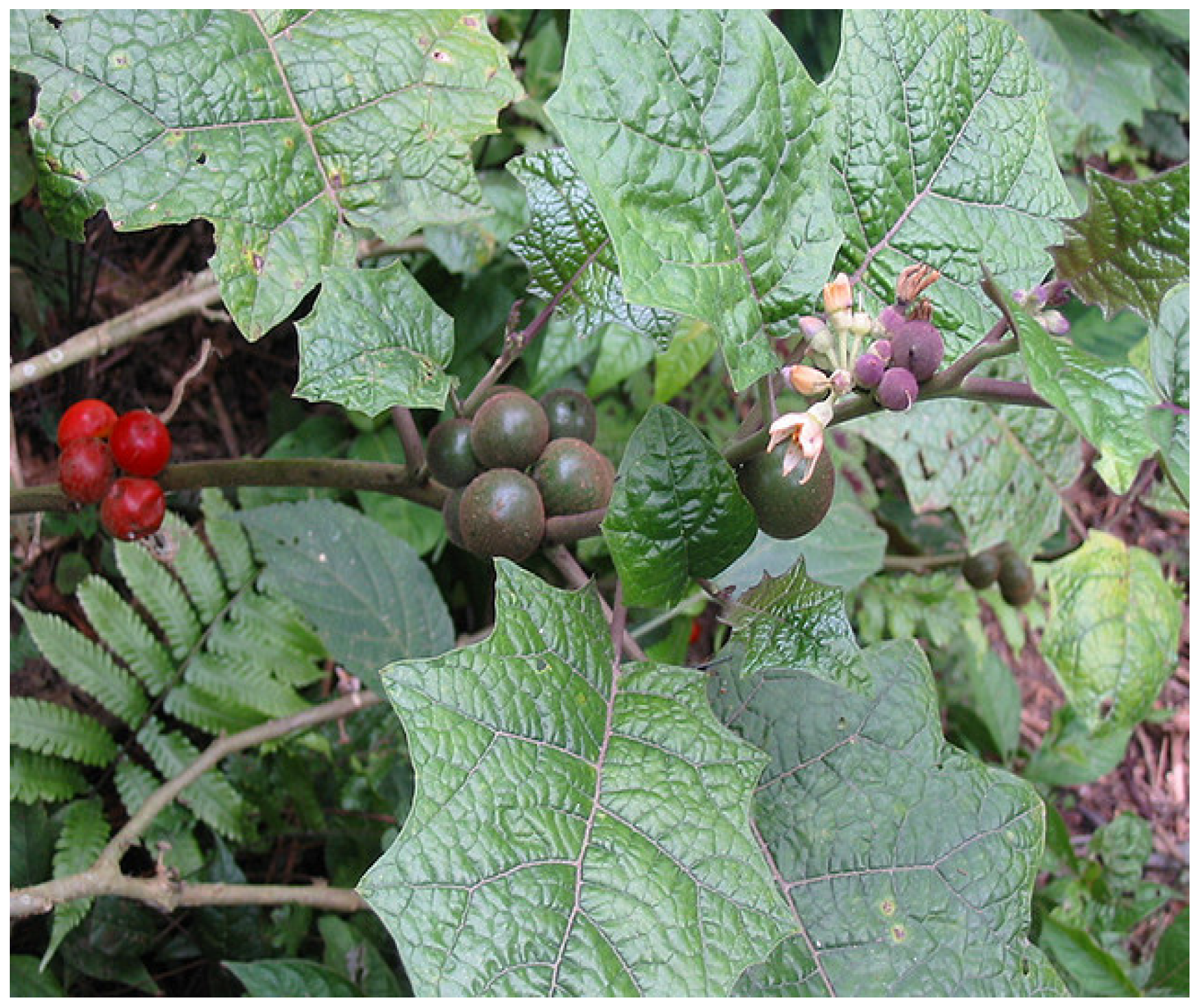 Resources 04 00277 g030