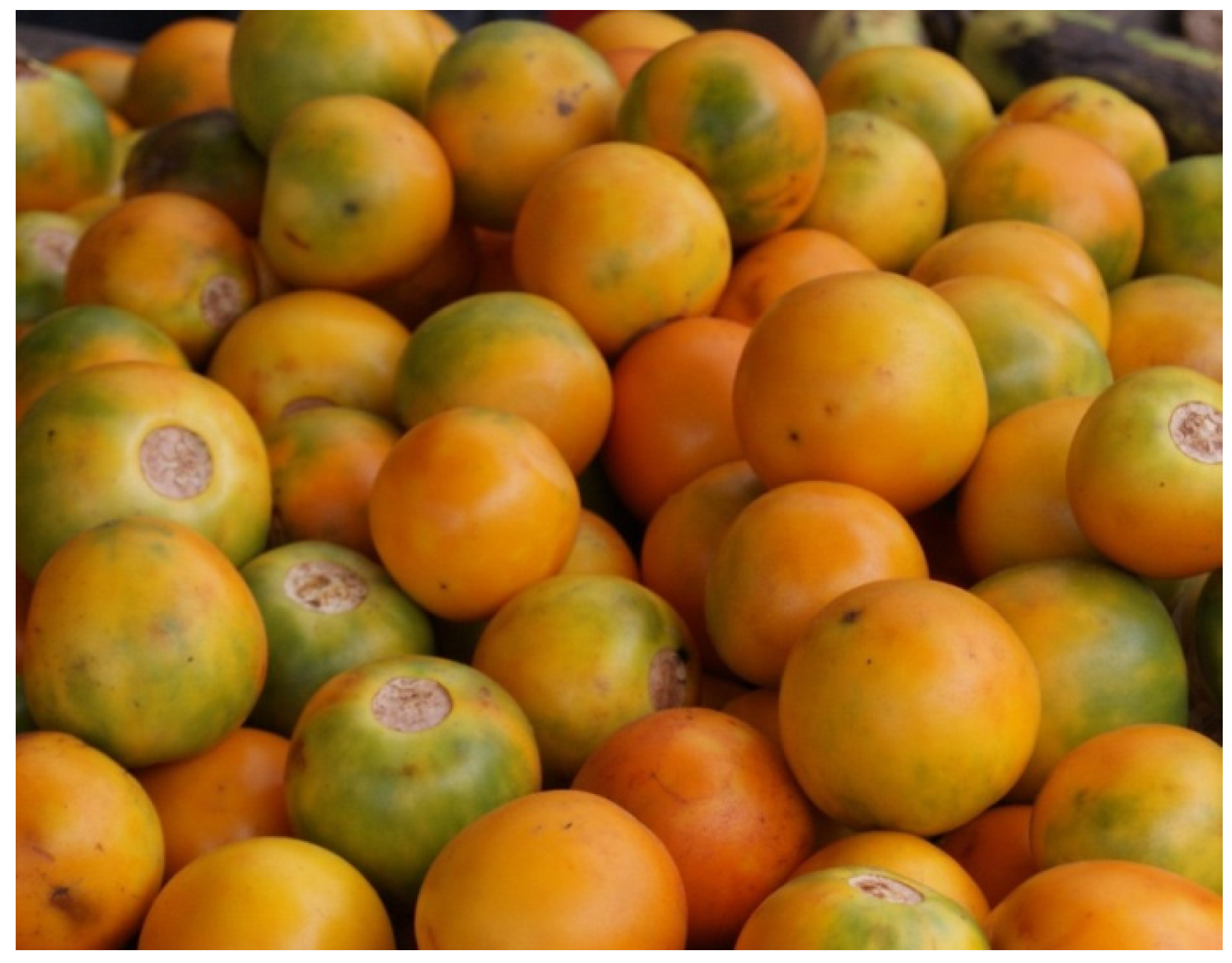 Resources 04 00277 g031