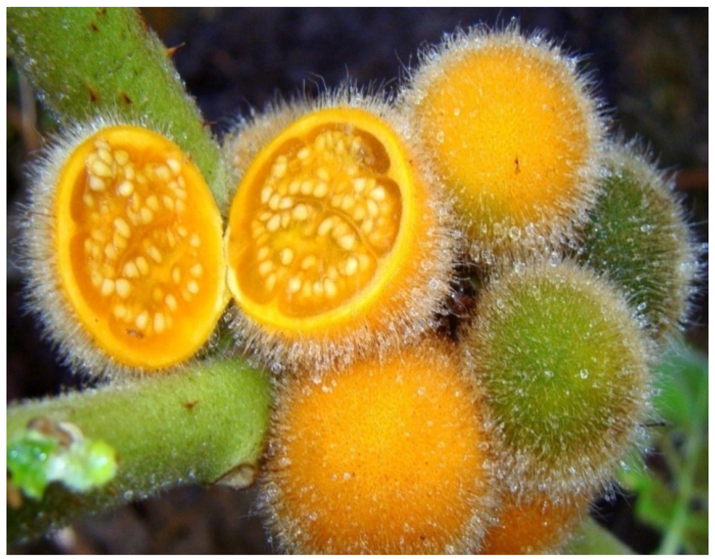 Resources 04 00277 g032 1024