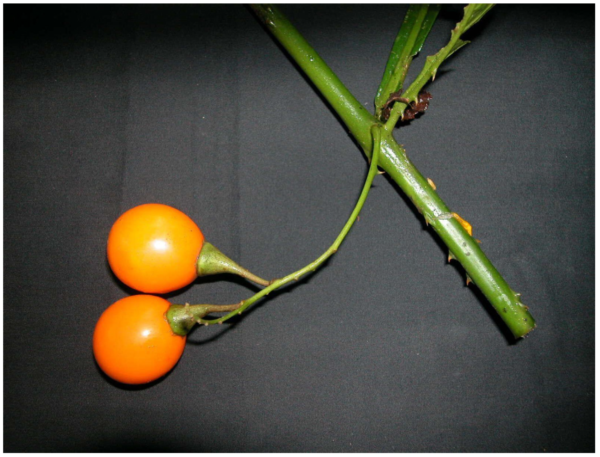 Resources 04 00277 g035