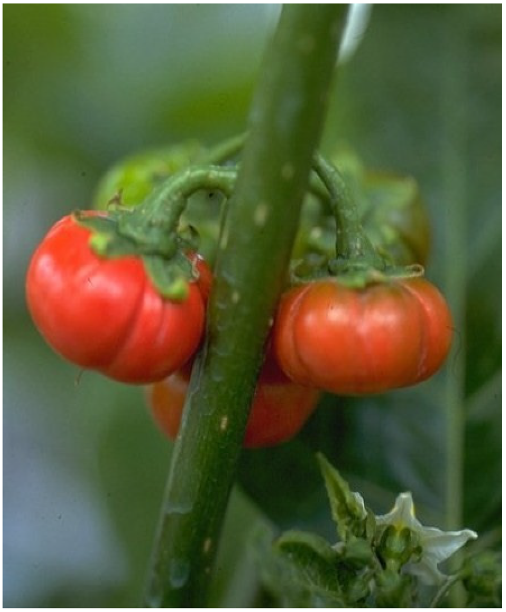 Resources 04 00277 g036 1024