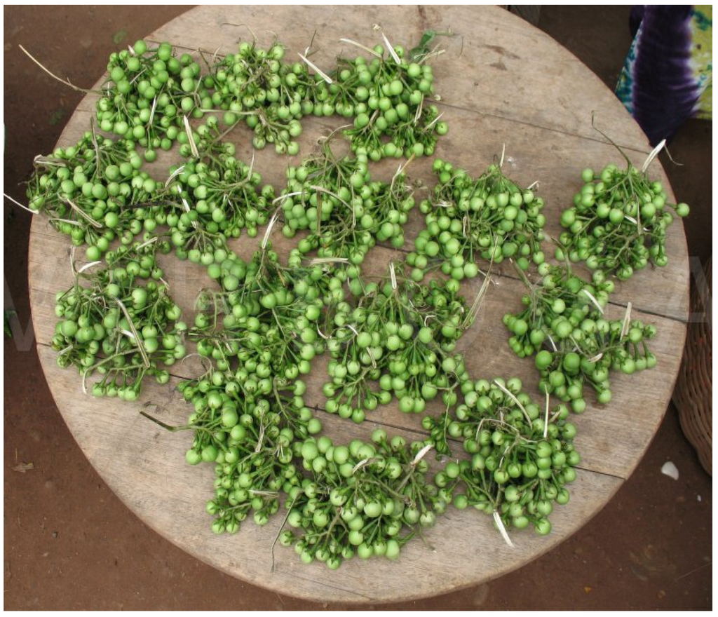 Resources 04 00277 g039 1024