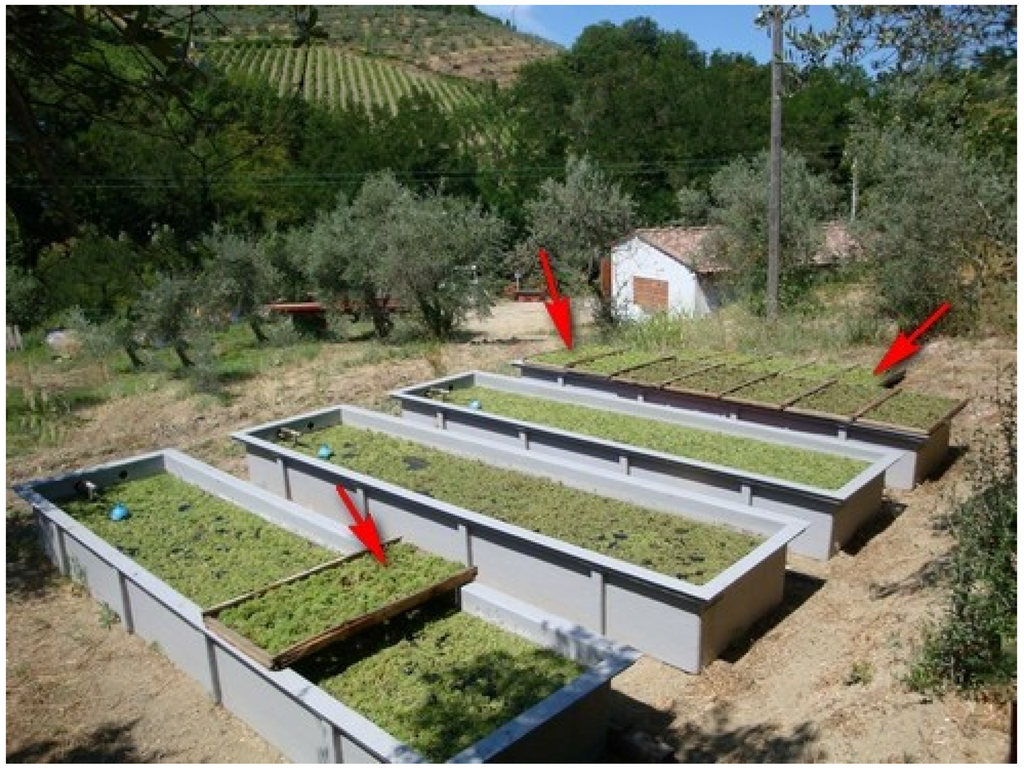 Resources 04 00621 g007 1024