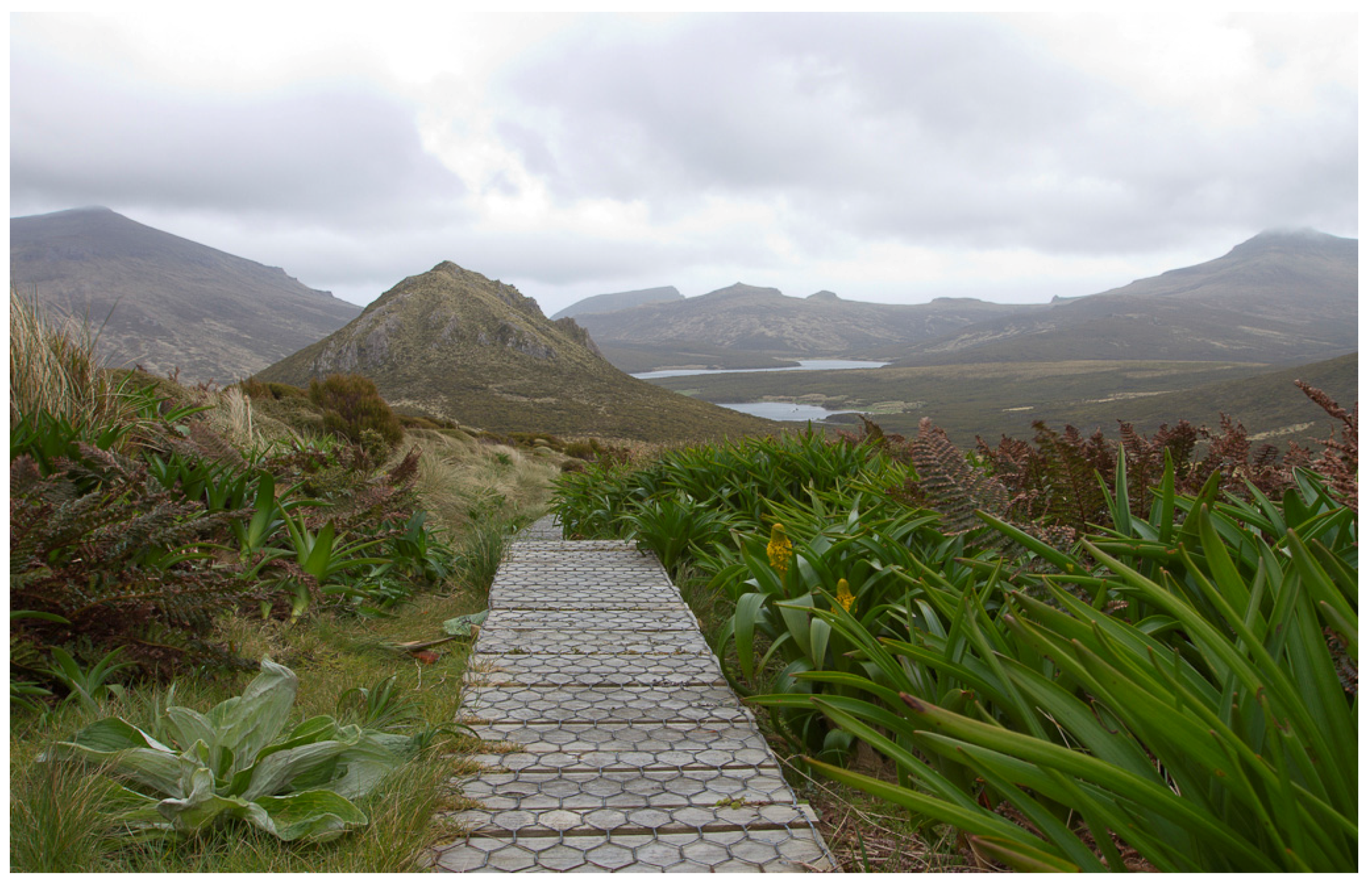 Resources 06 00038 g009 Resources 06 00038 g009