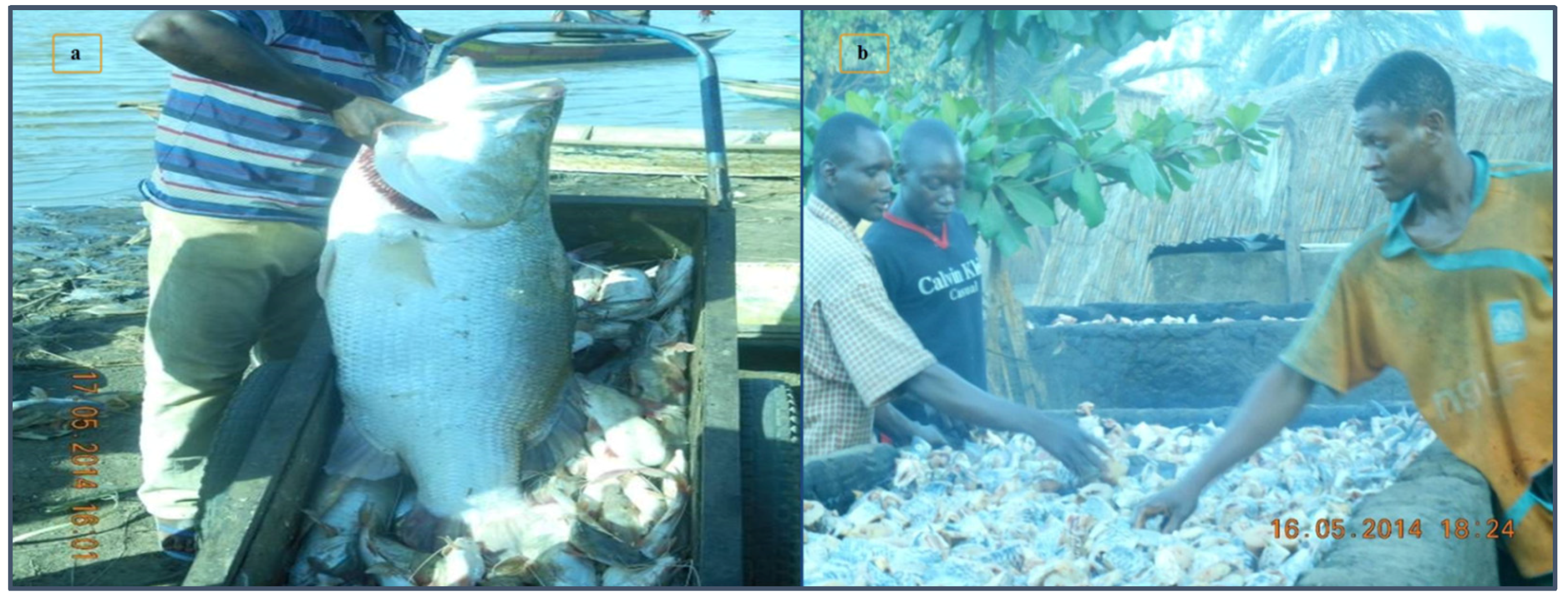 Resources 06 00041 g004