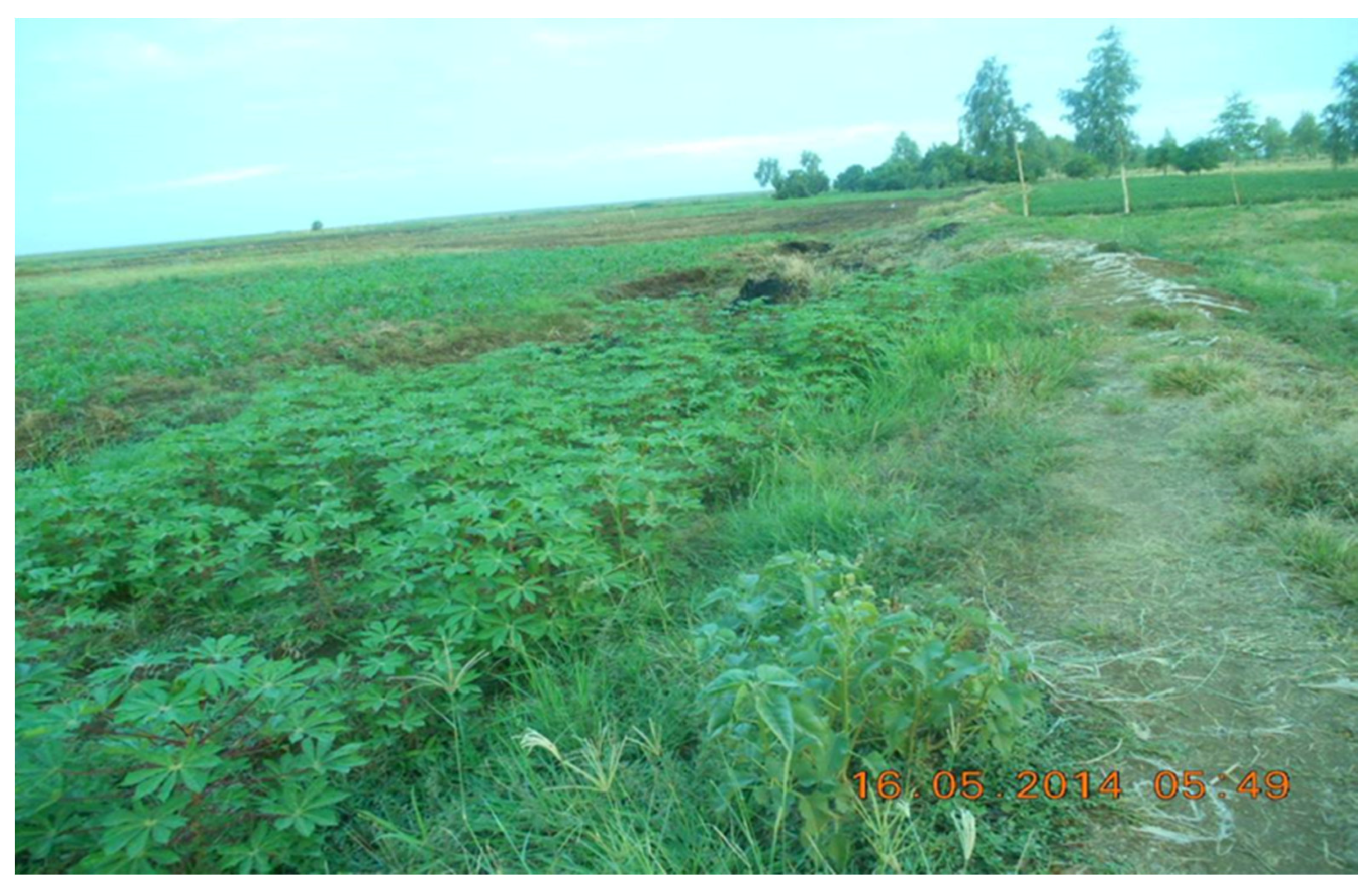 Resources 06 00041 g006