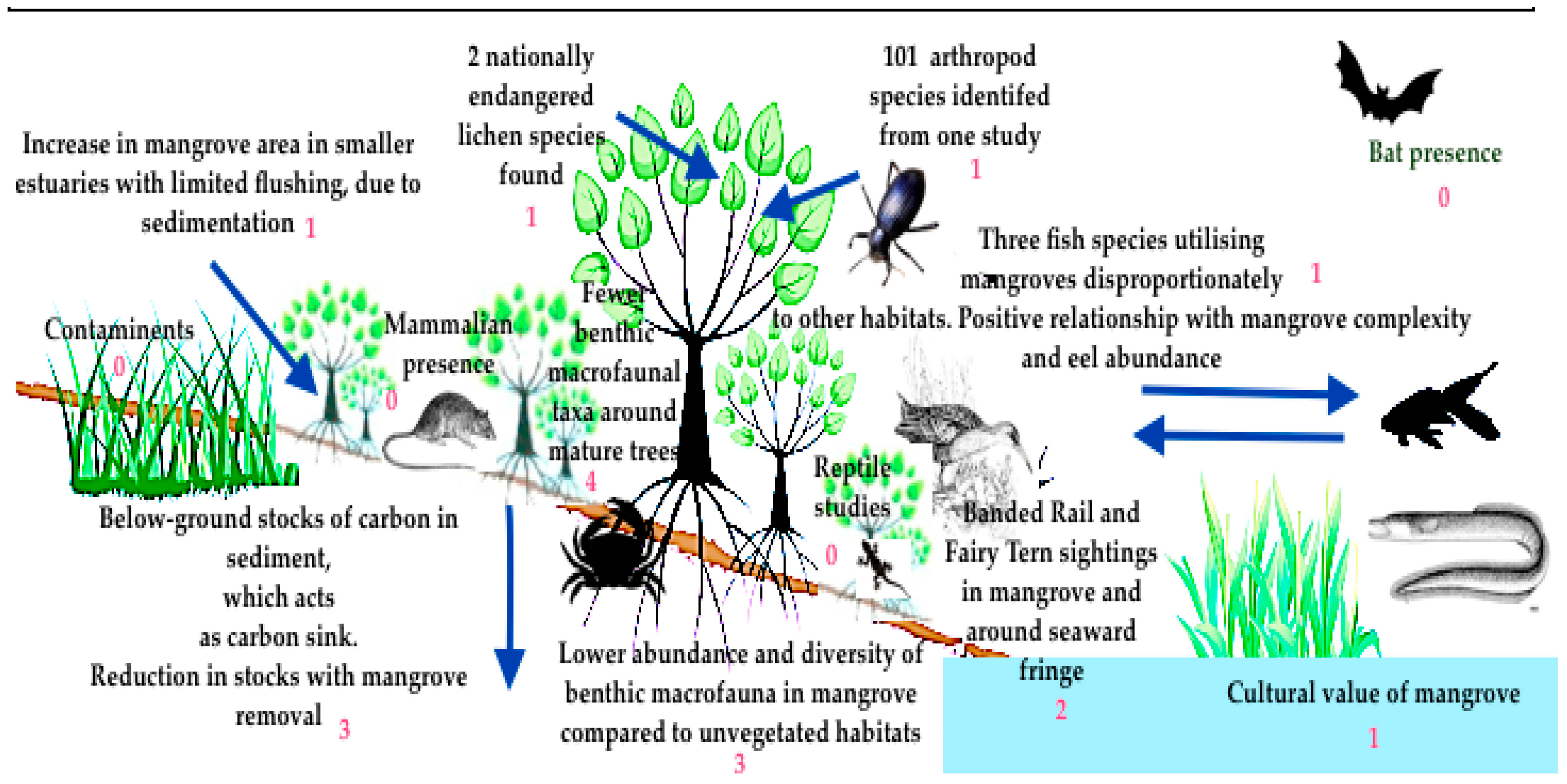Resources 07 00023 g005