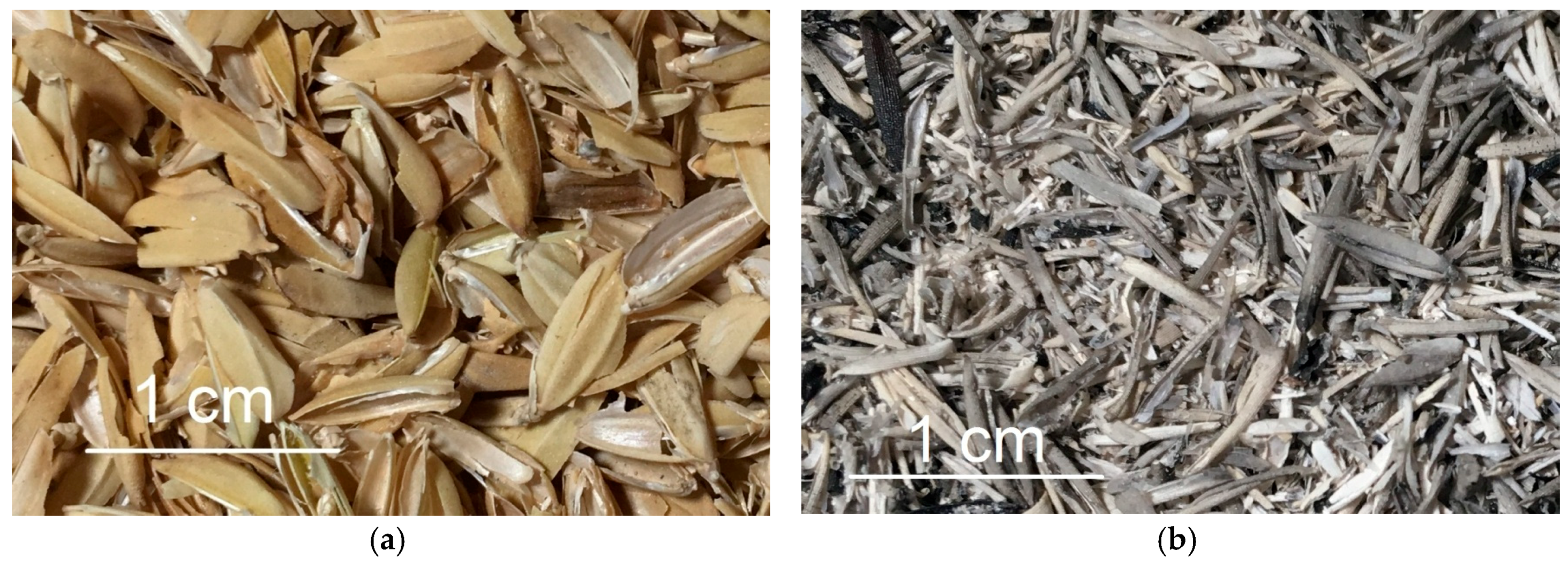 Resources 07 00031 g001