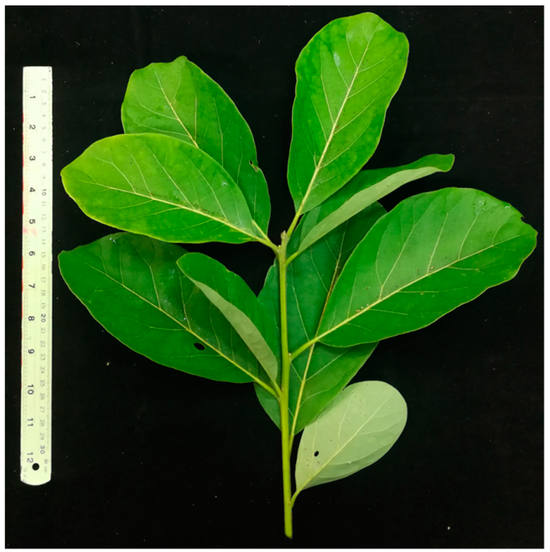 Resources 08 00010 g001