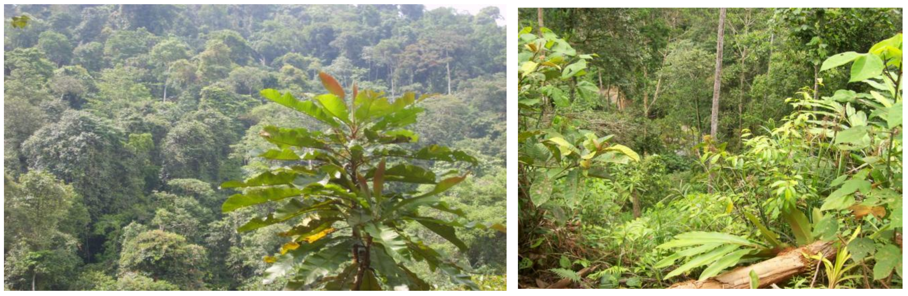 Resources 08 00078 g007