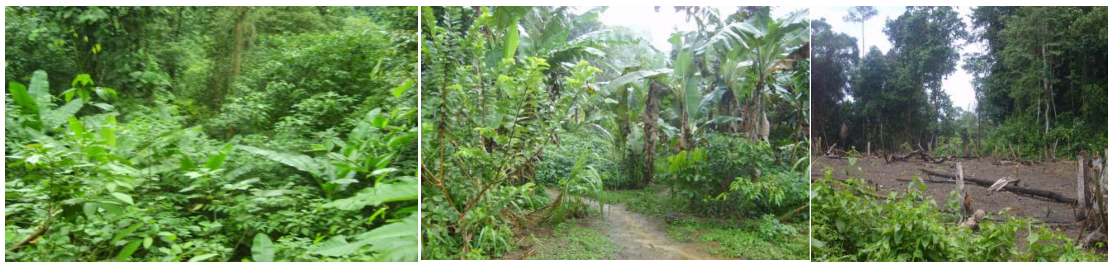 Resources 08 00078 g008