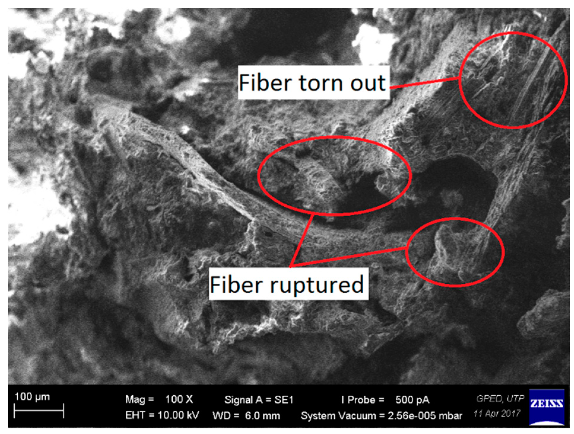 Resources 08 00097 g003