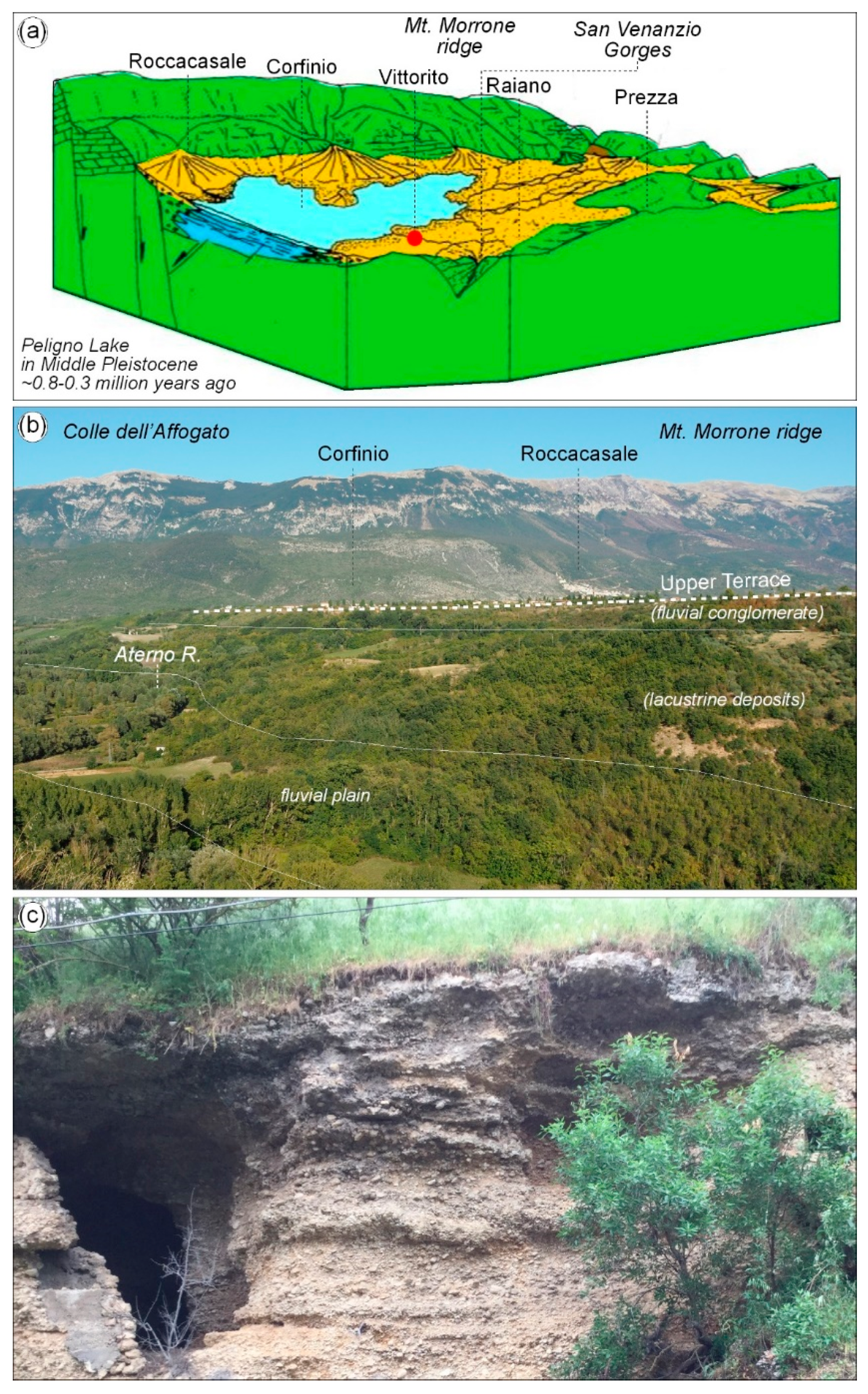 Resources 08 00118 g010