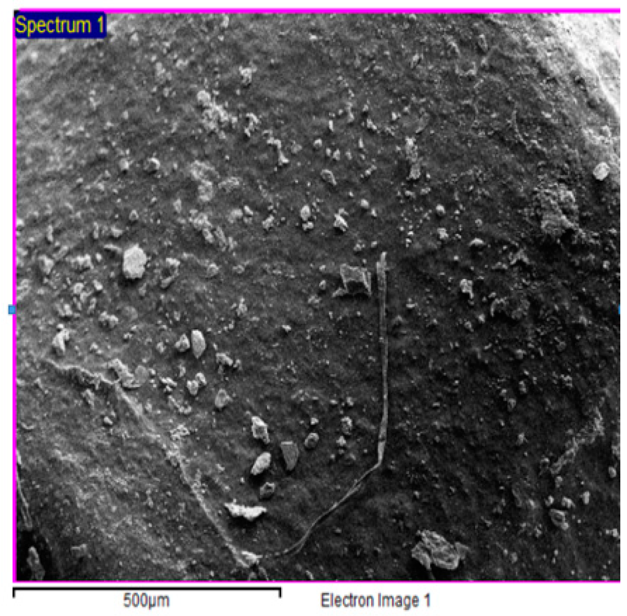 Resources 08 00133 g001