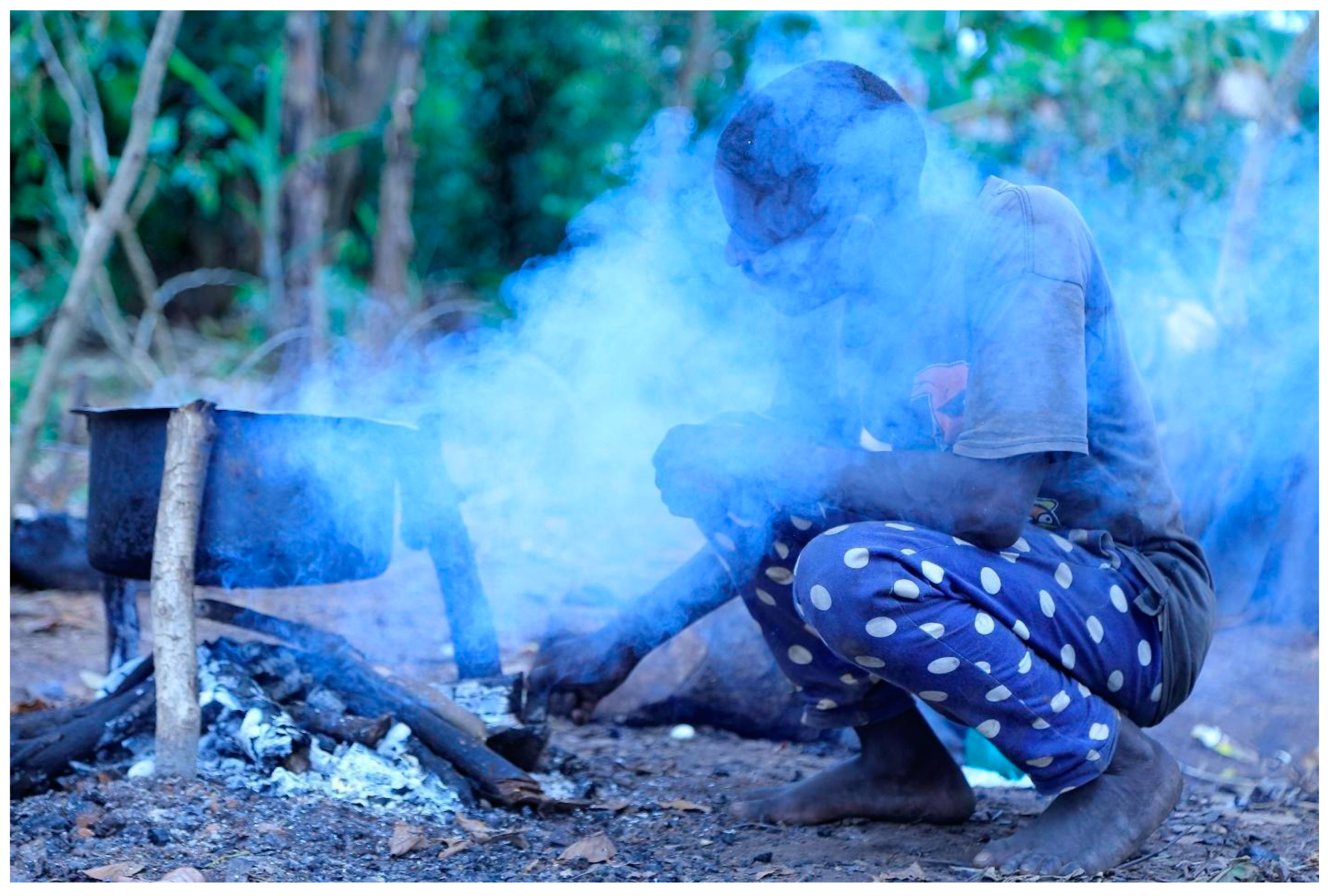 Resources 08 00183 g006