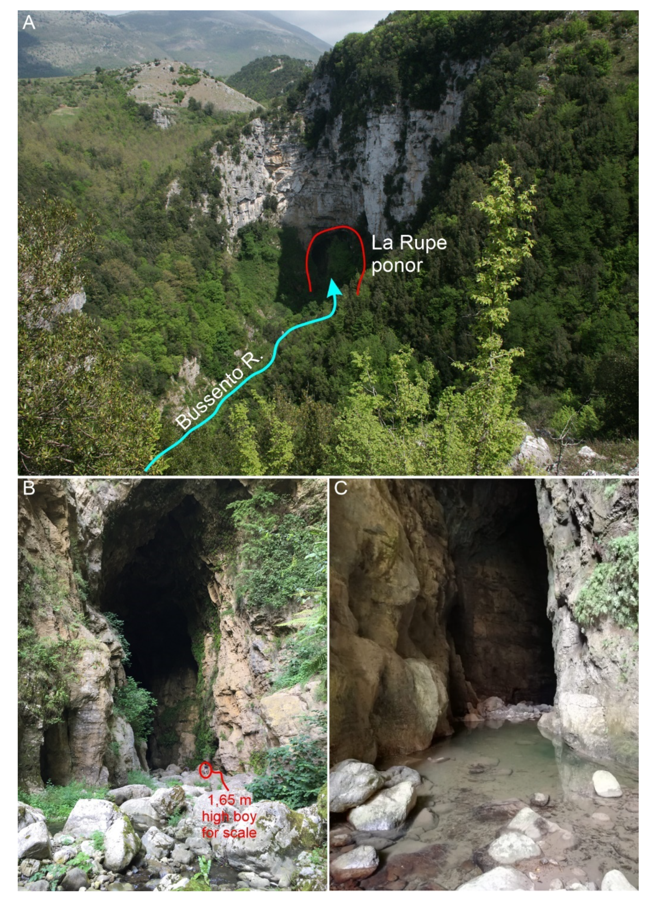 Resources 09 00052 g008