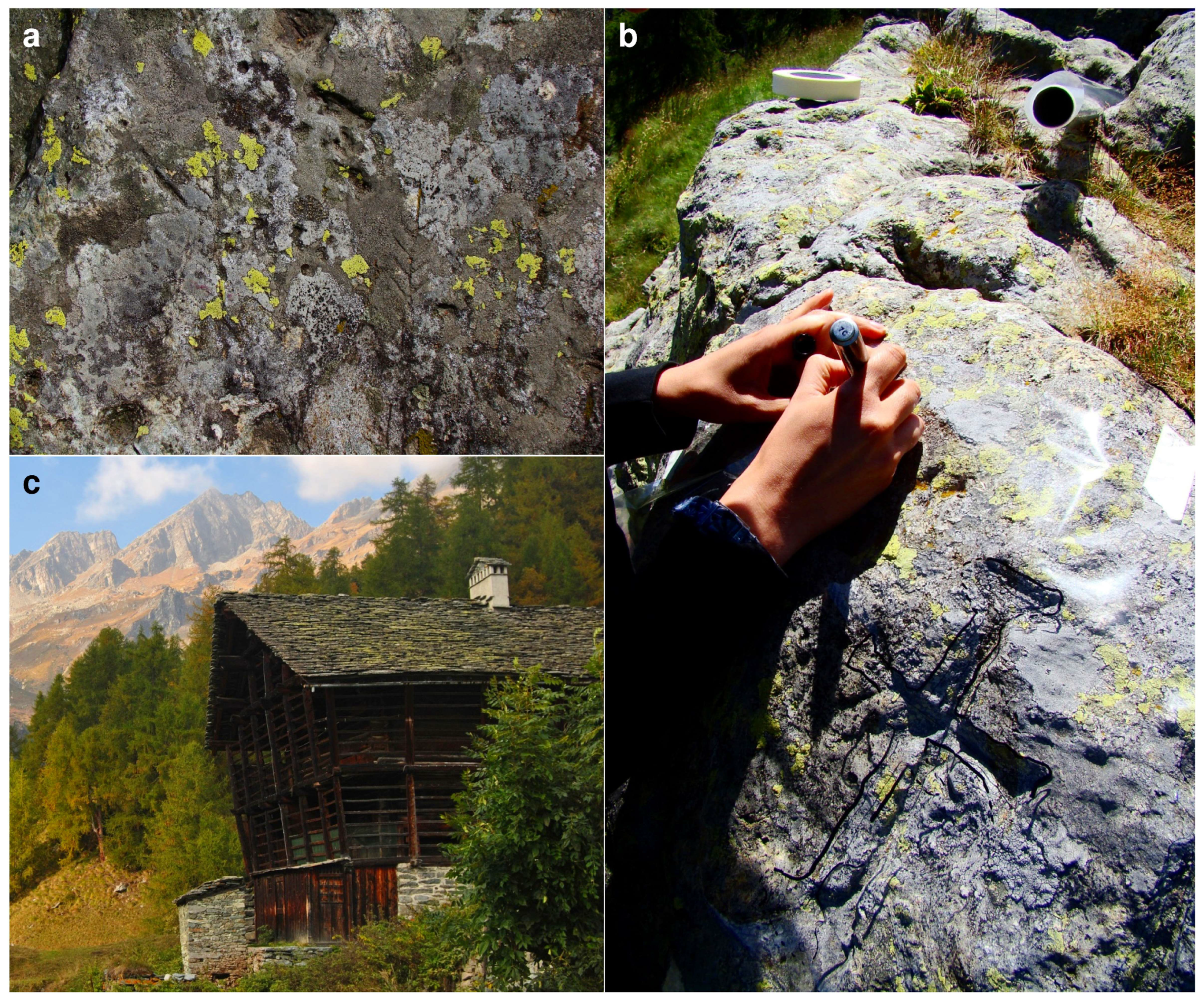 Resources 09 00063 g006