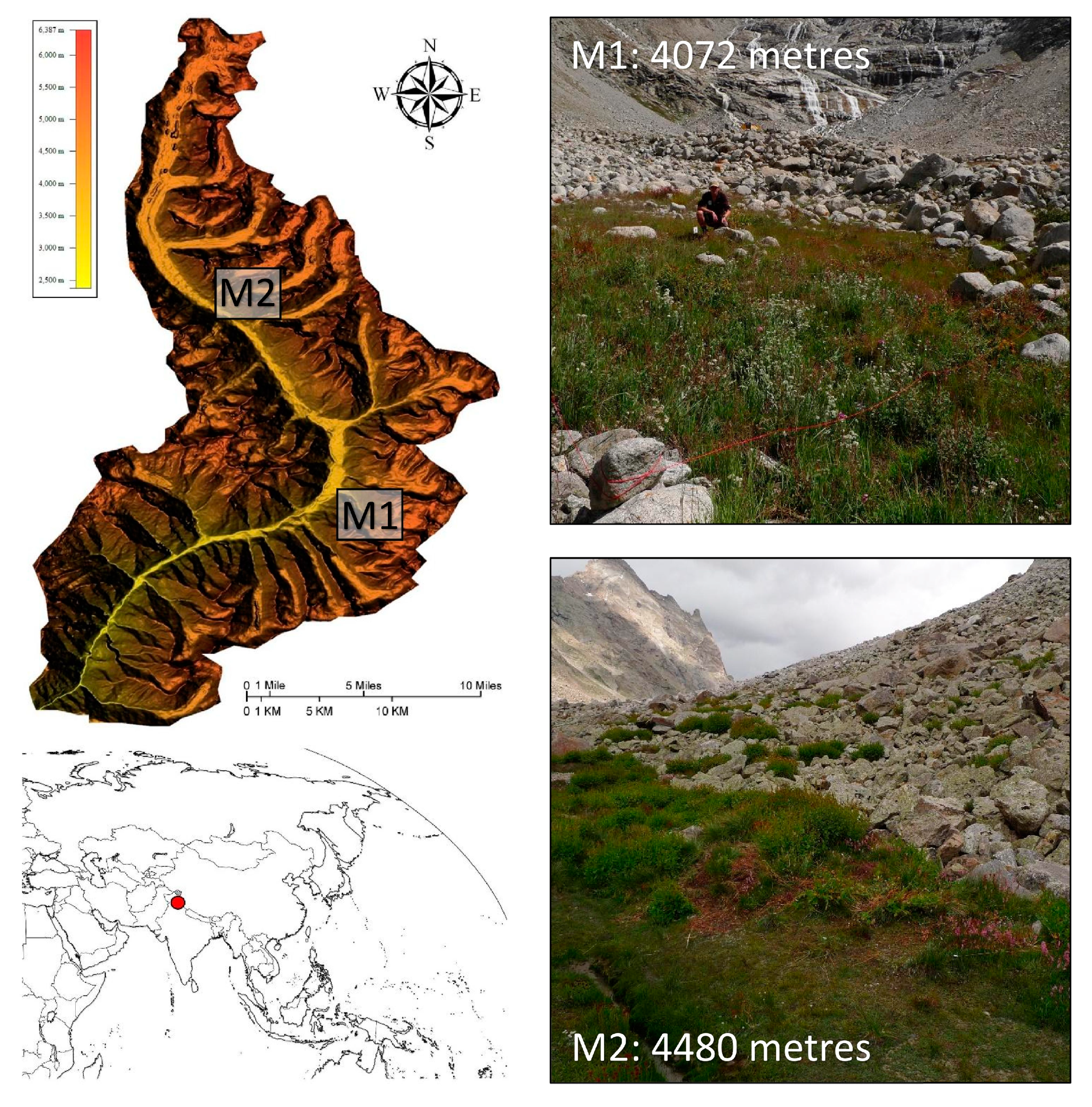 Resources 09 00098 g001